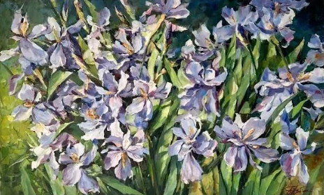 Irises