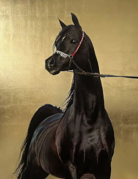 Egyptian Arabian Stallion