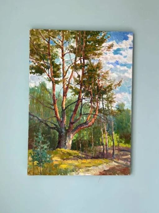 Old Pine